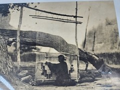 Edward Curtis «the blanket weaver» Photo Engraving Print From 1972 Navajo COA