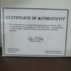 Brian K. Neely Photograph Of a Lion Signed 160/200 W Certification