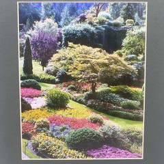 Matted Flower Garden Photo Print 11 X 14 Wall Art Gallery Decor