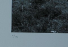 Original Signed & Numbered Art Photograph Titled «The Dream» by Laurie Coppedge