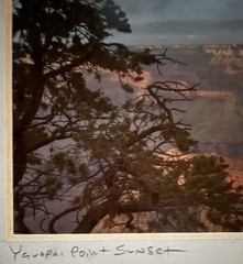 Mike Buchheit Signed Grand Canyon Yavapai Point Photograph Sunset matted 6×12
