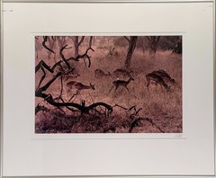 Ernst Haas «Kenya» Photograph