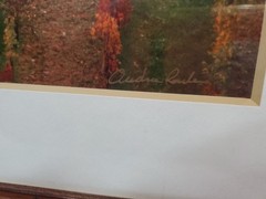 Signed Framed Photograph Vinyard In Chianti 1999 14″x17.5″ As Pictured