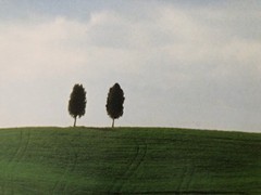 SNOWDON/HOYER ,’TOSCANY,ITALY,2001′ RARE AUTHENTIC ART PRINT