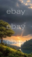 Image of a tree in sunset background Digital Image Picture Wallpaper JPEG