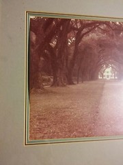 039 VTG Color Framed Photograph Rosedown Plantation House 21×18 Regency Art