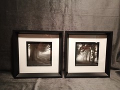 2 Modern Black & White Photography Trees Minimalist Moody 11.25 » Square Frames