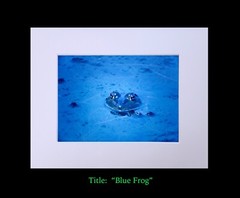 matted photograph, 5″x7″ print, mounted 3/16″ foam with 8″x10″ single white mat