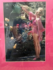 Sexy Neighbor Tease Photo 9.5 X 14 Photo Voyeur Series – “Carol, I Think”