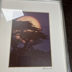 Framed Tree Sunset Signed By J Simonelli 8”x10” Wall Art Print