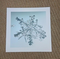 MIKE & DOUG STARN TWINS ‘Sno6_034.1 (Snowflake)’, 2005 SIGNED Photograph **NEW**