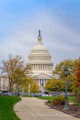 United States Capital Building- photography print photo nature wall décor