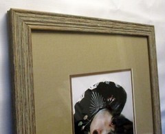 CHIHUAHUA Dog ART PHOTOGRAPH MEXICAN GARB Framed Portrait