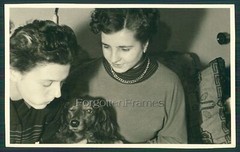 Photo Beautiful Woman Posing with Dachshund Dachshund Photo PRETTY WOMAN w DOG