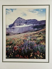 Signed Limited Edition Aaron Goldenberg 35mm Art Photograph, Utah 39×24 Framed