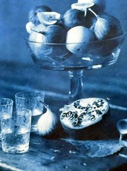 Framed Editioned Cyanotype Photography by John Dugdale