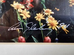 Signed Limited Edition Aaron Goldenberg 35mm Art Photograph, Utah 39×24 Framed