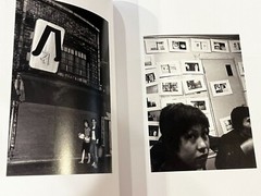 Impossible Love: Nobuyoshi Araki, A Photographic Journey through Japan art book
