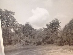 Arthur Gray Original Iconic Cleveland Ohio Dunes Scene WPA Original Photograph!