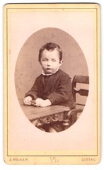 Photograph Ad. Meiner, Zittau, Hospitalstrasse 2, portrait little boy in mod