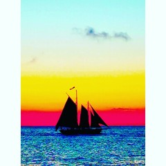 KEY WEST Sailboat 11×14″ Art Photo Photograph Print Sailing Boat Silhouette Sail