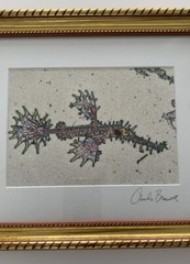 Fish Tales-Underwater Photography Lot Of 2 ~ 5”x7” Matted, Framed, Signed Photos