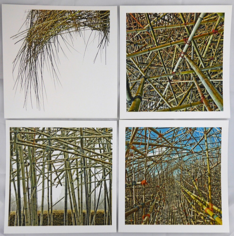 Doug Starn, Mike / Big Bambu SIGNED SET OF 4 PRINTS EACH 8 x 8 1st Edition 2011