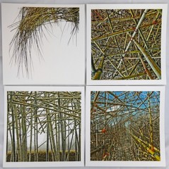 Doug Starn, Mike / Big Bambu SIGNED SET OF 4 PRINTS EACH 8 x 8 1st Edition 2011