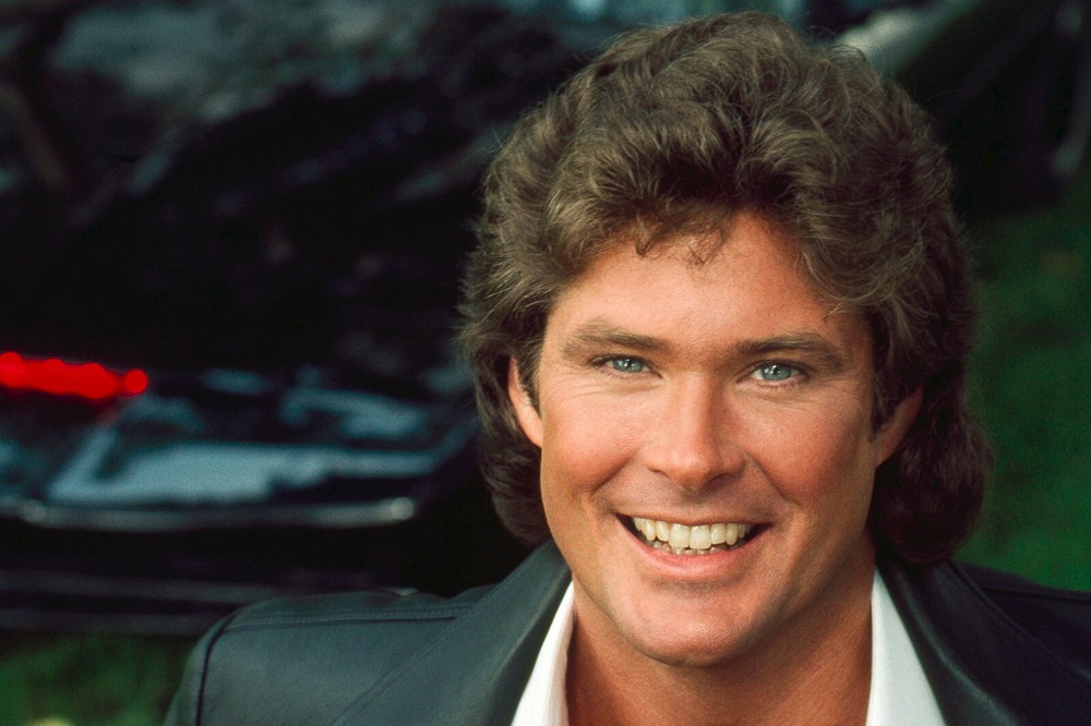 PHOTO No 8 • David Hassehoff Baywatch Knight Rider • GLOSS 15X10CM • NEW