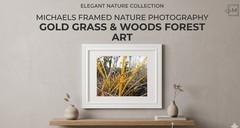 Michaels White Framed Nature Photography 11×14 Gold Grass Forest Wall Art