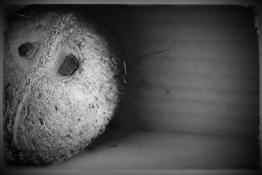 Fine Art Photography, Black & White print, 8×12, Coconut in a Box