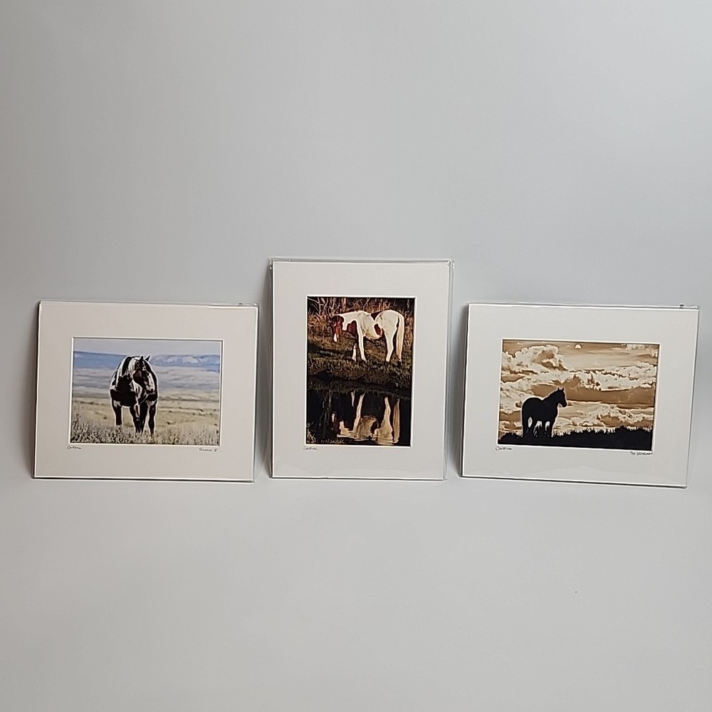 Horse Photograph Lot of 3 Equestrian Caroline Christie Signed Matted