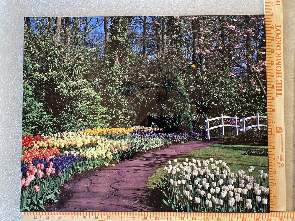 Flower Garden High Gloss Mounted Photo 16 x 20 On 5/8 Thick Backing Board