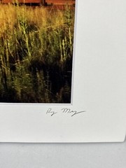 Ryan Moyer signed photograph “milky Cow” Farm Barn Country Scene Utah