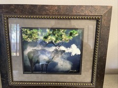 Framed and signed By James T Jones photograph Of Elk In Wildlife