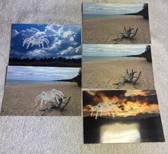 105 Nature Art Photographs 6×4” & 5.25 x4” Vibrant Colorful & 4 Post Cards