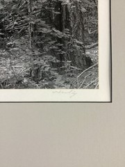 Bob Werling Signed #3 Lake Tahoe Black & White Framed Decorative Edition Print