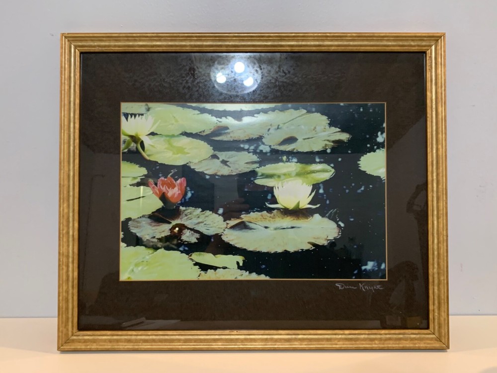 Contemporary “Water Lilies” Framed Colored Photograph by Diane Knight