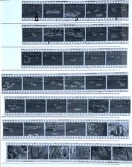 180 NEGATIVES MOTOR RACING SILVERSTONE CARS BIKES VINTAGE CARS SPORT c1970s 35mm