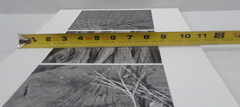 Original Signed Photos on Board Lot of 5 11 x 14 Whiteboard Various