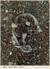 Todd Weinstein Prophet Dead Sea Israel 2013 Signed Contemporary Photography