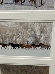 Tri Photo Horse Themed Piece In Wood Frame Signed