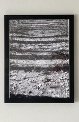 Black And White Photo print 8.5 X 11