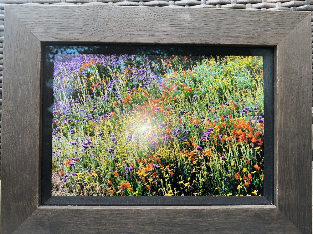 Thomas Mangelsen 10”x14” Framed Signed Piece SCENT OF SPRING picture 27931014FN