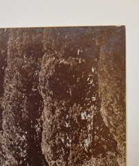 Vtg Italian Villa Photograph: 8964 Dettaglio della scala, Villa d’Este – Tivoli