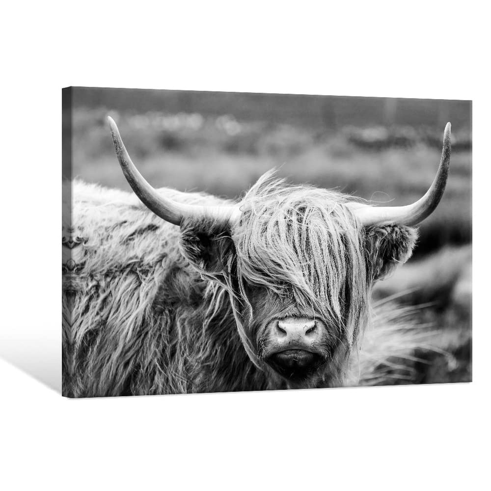SEVEN WALL ARTS Highland Cow Photography Wildlife Portrait Picture Black and …