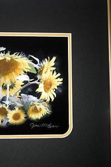 Sunflowers Double matted and framed Size 11 x 14 Original photography Giclee