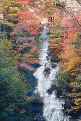Vintage Waterfall Photo With Rustic Wooden Frame Green Matting By Bill Bates