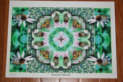 Monarch Collection Butterfly Collage Photo signed & numbered Print 9 1/2″x13″