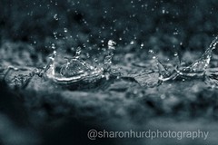 Rainy Day Wall Art- Photograph